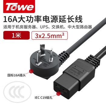 同为（TOWE）PDU/服务器G16转C19电源转换延长线2.5平方 TW-F-25G16/C19 1M
