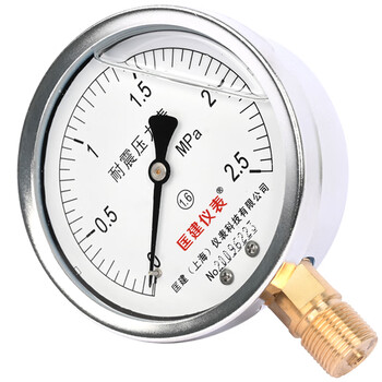 匡建仪表（CONJANT）YTN-100耐震压力表 径向0-2.5MPa 压表油压表气压表 表盘直径100mm