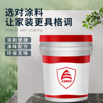 阿斯密 ASMES ASN210 净味超白内墙漆环保无添加二合一内墙乳胶漆 面漆 20kg