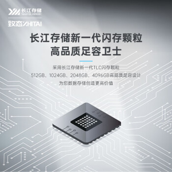 致态（ZhiTai）长江存储 512GB SSD固态硬盘 NVMe M.2接口 TiPlus7100系列 《黑神话:悟空》官方合作品牌
