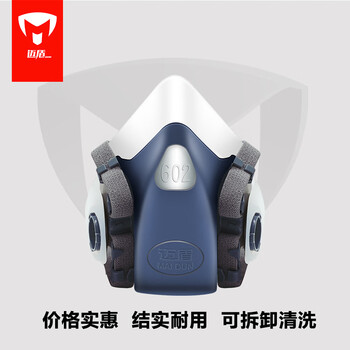 迈盾防毒口罩 防毒面具 防有毒气体活性炭口罩防甲醛喷漆口罩电焊口罩  602P套装