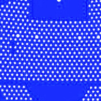 庄太太【10片/包】小便池防堵芳香过滤网垫ZTTGLW-888