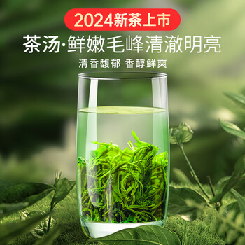 贡苑绿茶高山毛峰150g 2024新茶明前春茶实惠散装毛尖黄山茶叶自己喝