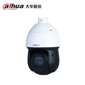 dahua大华23倍400W网络球机 POE供电 400万星光级夜视 360度旋转巡航 DH-SD4423-DP-i