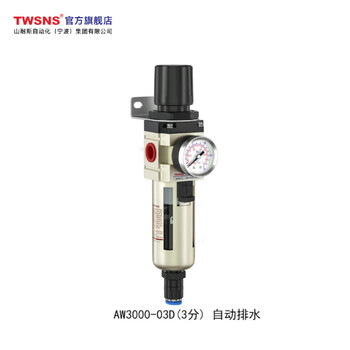 山耐斯（TWSNS） 气源处理器过滤器  AW3000-03D铜芯