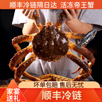 活冻俄罗斯帝王蟹冰鲜水产鲜活螃蟹海鲜超大长脚蟹生鲜帝皇蟹 9-9.5斤一只装 活冻
