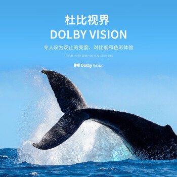 腾讯极光盒子6S 8K高清电视盒子 智能网络电视机顶盒 蓝光云盘硬盘播放器 杜比视界 4+64G 双频WiFi6