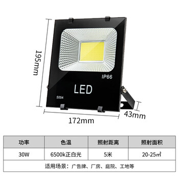 龙代（longdai）LED投光灯户外防水泛光灯 高亮COB款 220V 30W 白光