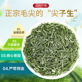 乐品乐茶绿茶毛尖茶叶特级250g 2024新茶明前礼盒装春茶嫩芽自己喝送礼
