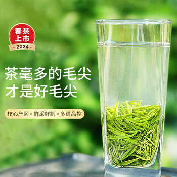 乐品乐茶绿茶毛尖茶叶特级250g 2024新茶明前礼盒装春茶嫩芽自己喝送礼