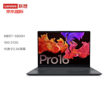 联想lenovo小新pro16标压锐龙版全面屏轻薄笔记本电脑r55600h16g512g