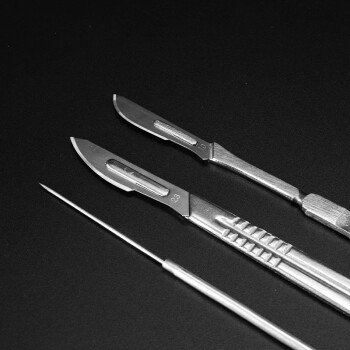 冰禹 BY-3143 实验室生物解剖器 不锈钢昆虫解剖针解剖 实验室用品器材工具套装 标本制作镊子 四件套