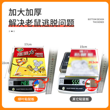 绿叶（Green Leaf）粘鼠板超强力粘板老鼠贴灭鼠老鼠神器6张装GL1005