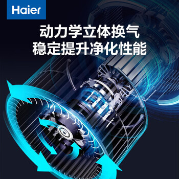 海尔（Haier）除湿机/抽湿机 除湿量12升/天 家用轻音抽湿器卧室干燥机地下室除湿器  CF12-PS1