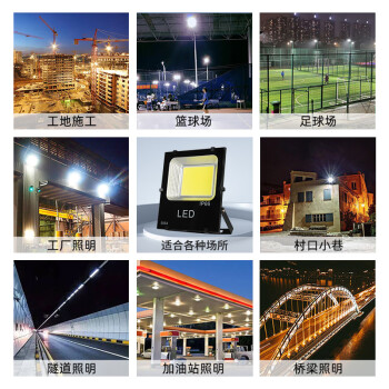 龙代（longdai）LED投光灯户外防水泛光灯 高亮COB款 220V 50W 白光
