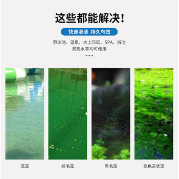 康游 环保除藻剂泳池景观池强效除藻药效稳定环保安全快速杀藻950ml/瓶 6瓶/箱