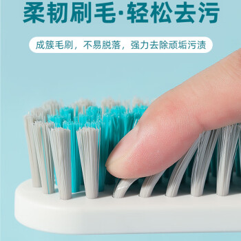 茶花 鞋刷子长柄硬毛家用多功能洗鞋清洁刷洗衣刷不伤鞋塑料小刷子