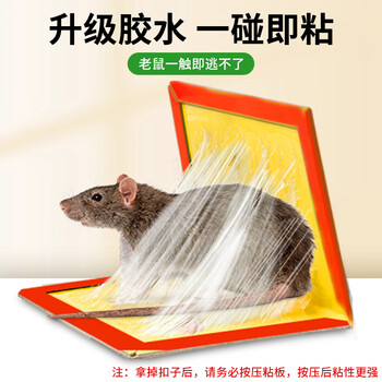 力仕康粘鼠板10张老鼠贴超强力大号沾占粘鼠贴毯一窝端灭捕鼠神器家商用
