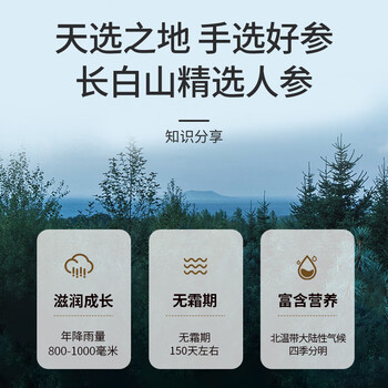 北京同仁堂 青源堂【年货礼盒送长辈】 人参100克礼盒精选吉林长白山人参7支生晒参煲汤滋补品西洋参泡酒礼品