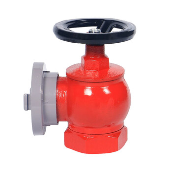 中闽富新 消防器材室内消防栓 消防阀门 水龙头室内消火栓 SN50 3C认证 一个价