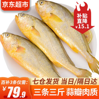  往牧 黄花鱼 500g一条 活冻大黄鱼 生鲜鱼类 海鲜水产 烧烤食材 3条装 500g*3条（共1500g）