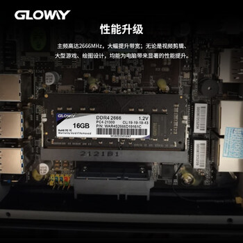 光威（Gloway）16GB DDR4 2666 笔记本内存条 战将系列