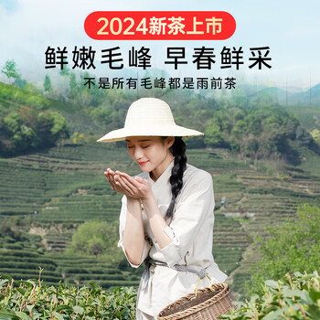 贡苑绿茶高山毛峰150g 2024新茶明前春茶实惠散装毛尖黄山茶叶自己喝