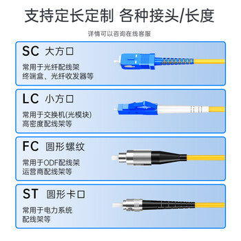 SK-LINK 光纤跳线 SC-SC电信级单模单芯千兆万兆UPC光纤线机房收发器尾纤 低烟无卤 SK-TXSM-SCSC2M 2米