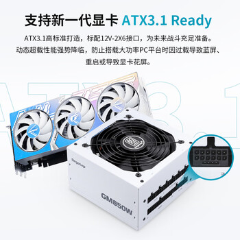 鑫谷（segotep）GM850W ATX3.1金牌全模组冰山版电源（12V-2X6支持5070Ti/5060Ti显卡/白色台式电脑主机箱电源）