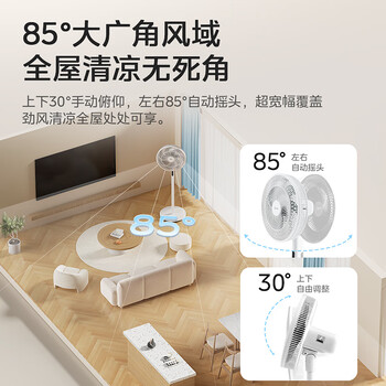 美的（Midea）【飓风节能】七叶柔风立式电风扇/家用轻音落地扇/台式小型风扇/大风力遥控定时摇头风扇SAH35BSJ
