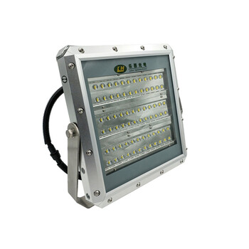 惠乐为 乐惠 OL9019-N-200W LED泛光灯