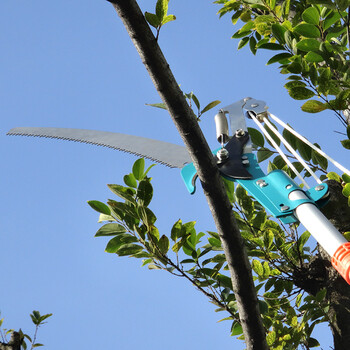 星工（XINGGONG）高枝剪修枝剪伸缩高空锯树枝剪刀果树园林摘果高空剪园艺 JY0050