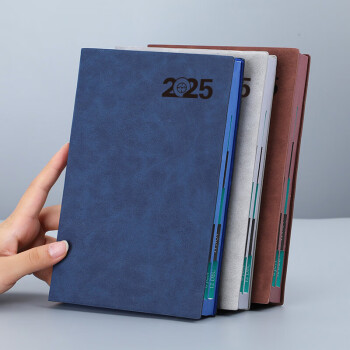 朗捷（longe）365天日程本每日计划本效率手册2025年日历记事本蛇年年历本笔记本本子定制 蓝色（2025年单本）