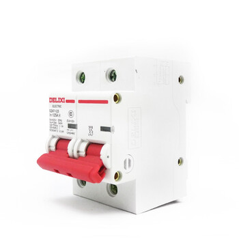 德力西 标准断路器 DZ47-125 2P li(C) 100A ；DZ471252C100