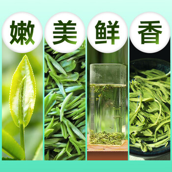 茗山生态茶 茶叶新茶 碧螺春绿茶 嫩叶双木罐装共300g 自饮送礼 