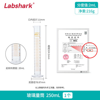LABSHARK 量筒玻璃实验室量杯高硼硅加厚大容量带刻度可过检直筒型化学生物实验量器【250mL】可过检 1个