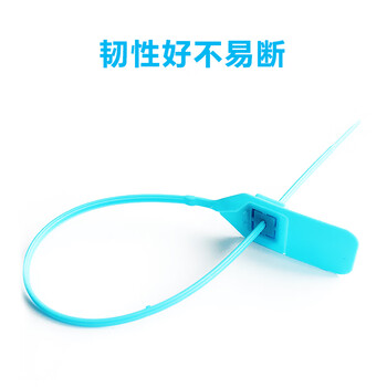 飞尔（FLYER）一次性塑料封条 抽紧式塑料铅封锁扣 物流封签施封锁扎带100条【31.3cm下单请备注颜色】