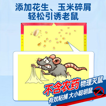坤宁王粘鼠板超强力粘板老鼠贴药捕鼠一窝端神器灭鼠驱鼠器家用大号加厚