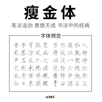 上林赋硬笔字帖瘦金体钢笔临摹手抄本周生如故字帖周边任嘉伦白鹿 瘦