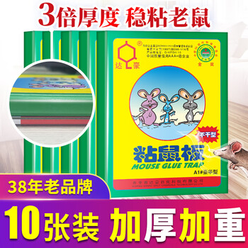 达豪 粘鼠板一不干型粘胶窝老鼠贴捕鼠神器端强力粘板豪华型10张装 