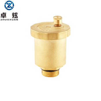 卓炫（ZHUOXUAN）TY-09 黄铜排气阀 直排式自动放气阀 黄铜排气阀门 DN25(5个)
