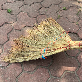 兰诗（LAUTEE）SB-0267 单个扫把 清洁植物扫把 学校工厂办公室用笤帚 白净苗