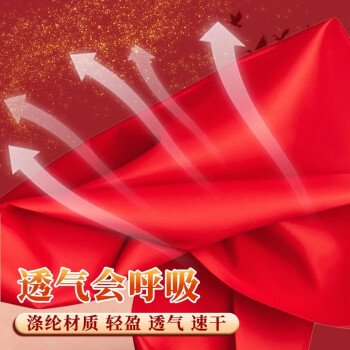 晨光生活文具小学生红领巾国标加厚涤纶红领巾标准耐变色透气速干批发六一礼物1米2/1条ASCN9523