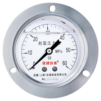 匡建仪表（CONJANT）YTN-60ZT 耐震压力表不锈钢液压表 轴向抗震高压2.5级螺纹14*1.5 0-60mpa