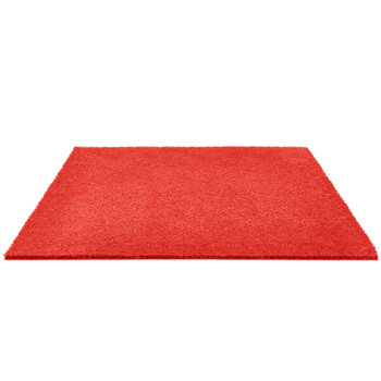 兰诗（LAUTEE）LS-1102 酒店宾馆防滑蹭土商用拉丝地垫 门垫入户垫 红色1.2米宽*1米长