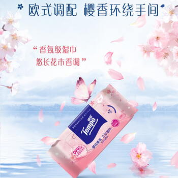 得宝（TEMPO）樱花杀菌湿巾 8片*6包 杀菌率99.9% 温和不刺激 湿纸巾 湿巾小包