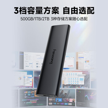 梵想（FANXIANG）500GB 移动固态硬盘（PSSD）Type-c USB 3.2高速读取1000MB/S 手机直连 笔记本外接硬盘 PS1008