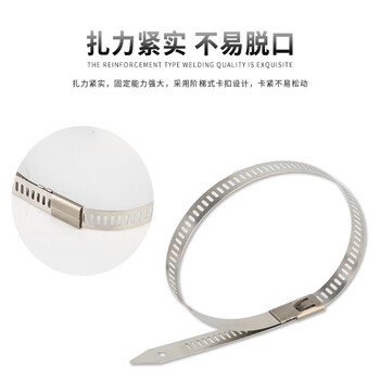 飞尔（FLYER）阶梯式自锁不锈钢扎带 金属钢带 束线带 电缆扎丝 100根/包【10×350MM】