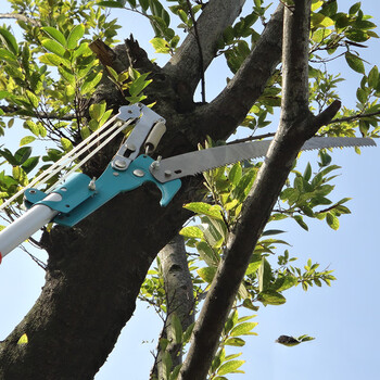 星工（XINGGONG）高枝剪修枝剪伸缩高空锯树枝剪刀果树园林摘果高空剪园艺 JY0050