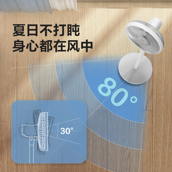 格力（GREE）【双层扩风扇叶】立式电风扇大风量家用落地扇广角摇头定时遥控电扇台地两用落地扇 FSZ-30X65Bg7